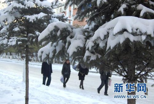 哈爾濱、大慶降下今年入冬以來第一場(chǎng)雪