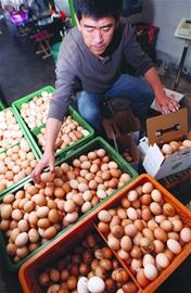 青島蛋價(jià)跳水山雞蛋大量積壓 青島蛋價(jià)跳水山雞蛋大量積壓