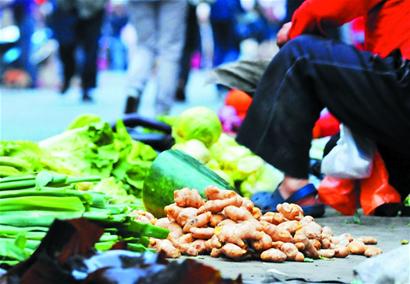 姜價創十年最低僅2元/斤 姜價創十年最低僅2元/斤