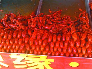 青島盱眙小龍蝦撈自微山湖 青島盱眙小龍蝦撈自微山湖