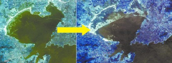 膠州灣150年縮小41% 一結冰就凍走4.7億元 膠州灣150年縮小41% 一結冰就凍走4.7億元