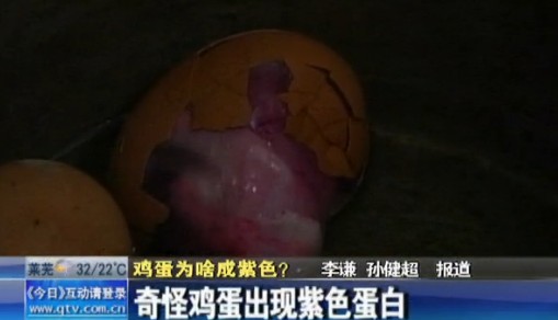 煮雞蛋驚現紫色蛋白 奇異漲大令人作嘔 煮雞蛋驚現紫色蛋白 奇異漲大令人作嘔