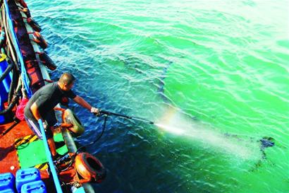 小青島近海現(xiàn)千米油污帶 夾帶漂浮垃圾來源不詳 小青島近海現(xiàn)千米油污帶 夾帶漂浮垃圾來源不詳