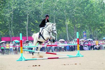 農大開設國內首個馬專業