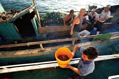 開海首日遇大潮 開海首日遇大潮