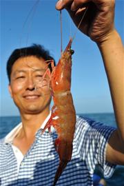 開海首日遇大潮 開海首日遇大潮