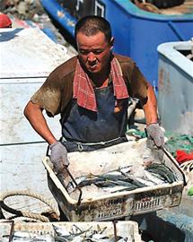 開海首日海鮮價格不高 開海首日海鮮價格不高