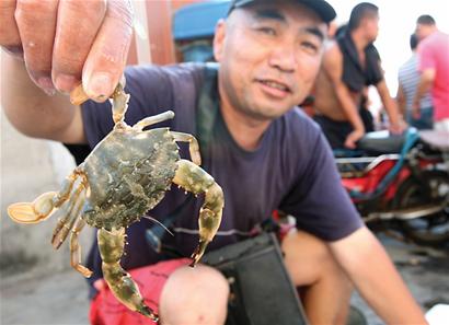 開海首日海鮮價格不高 開海首日海鮮價格不高