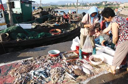 開海首日海鮮價格不高 開海首日海鮮價格不高