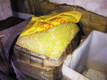 豆芽黑窩點被端 豆芽黑窩點被端