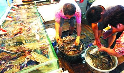 青島今年大閘蟹更鮮美 養殖戶喂足青魚蛤蜊頂蓋兒肥