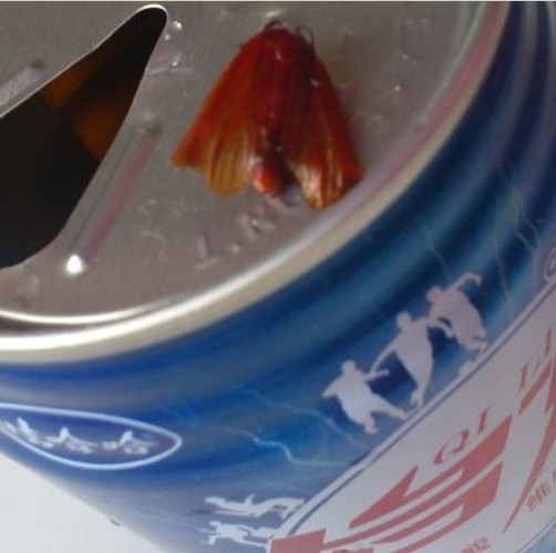 娃哈哈啟力飲料喝出大蛾子 客服稱無可奉告 娃哈哈啟力飲料喝出大蛾子 客服稱無可奉告