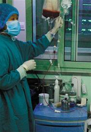 三地接力臺灣骨髓抵青救人 三地接力臺灣骨髓抵青救人