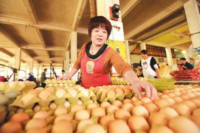 “火箭蛋”價格回落 低至3.9元/斤 “火箭蛋”價格回落 低至3.9元/斤