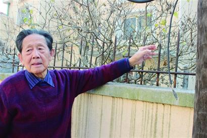 青島一老貓遭鐵柵欄穿腹鮮血直流 4小貓舔舐凄厲慘叫