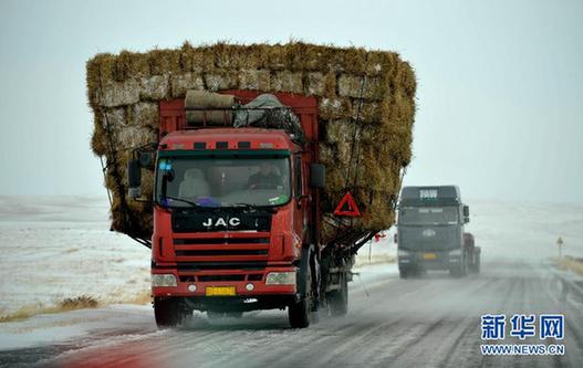 （社會）（2）內蒙古錫林郭勒草原降雪降溫