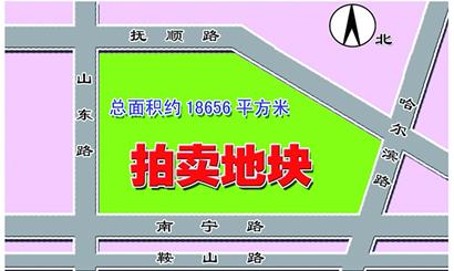 史上最難拍地塊終名花有主 史上最難拍地塊終名花有主