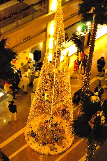 巨型樹根蛋糕亮相城陽 可供100人食用