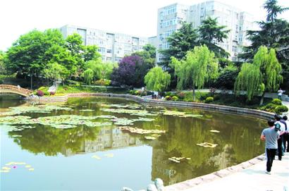 150處街巷變靚249個庭院披綠 150處街巷變靚249個庭院披綠