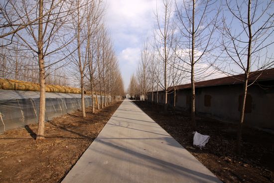 解密里岔黑豬生意經:不想賺錢錢會源源而來 解密里岔黑豬生意經:不想賺錢錢會源源而來