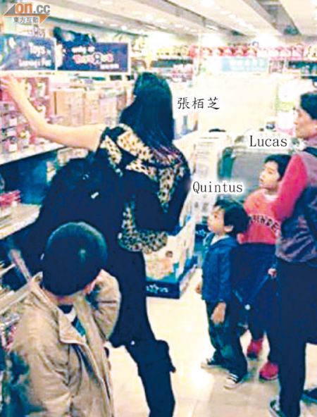 張柏芝挑選玩具時,Lucas與Quintus凝視著