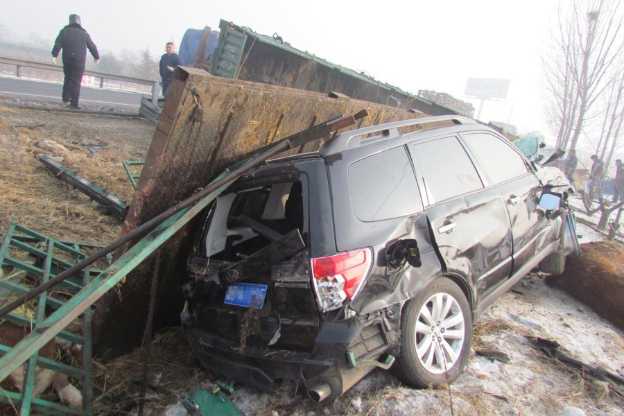 山東貨車側翻15頭牛死亡 村民趁亂割牛腿