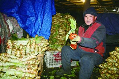 市場節前難見便宜菜 市場節前難見便宜菜