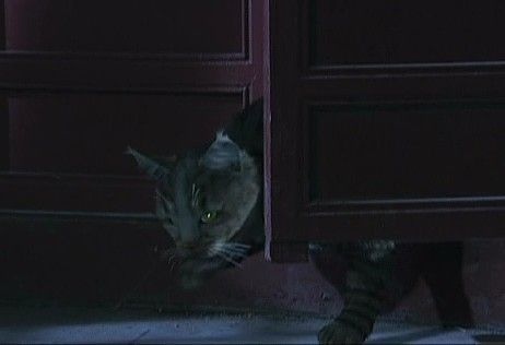 《甄嬛傳》經典穿幫鏡頭遭吐槽 孫儷蔣欣后宮嬪妃玩穿越