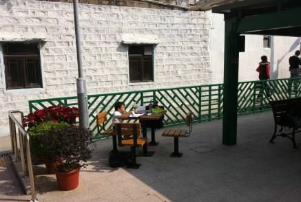 張柏芝愛(ài)子街拍 Lucas羞澀撒嬌Quintus扮思想者(圖)