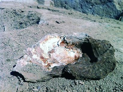 破解6100年前人體密碼