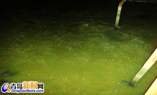 青島圓寶亞麻紡織有限公司違法排污