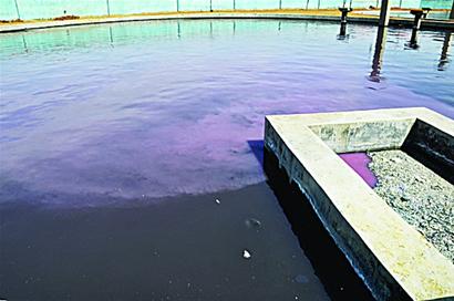 青島多企業直排污水毒氣 暗紅廢水去向神秘 青島多企業直排污水毒氣 暗紅廢水去向神秘