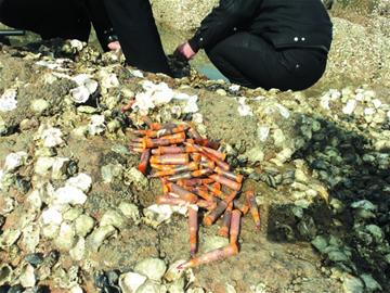 魯迅公園水灣驚現50多顆子彈