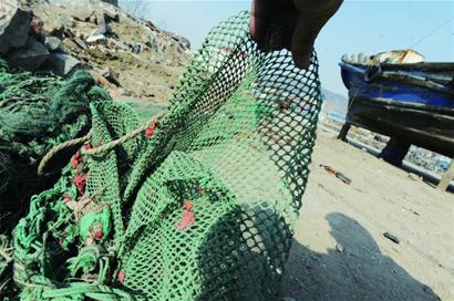 鲅魚產量較往年大幅減少 恐步小黃花后塵