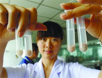 食品檢測(cè)過程揭秘:豬肉粉身碎骨驗(yàn)明正身