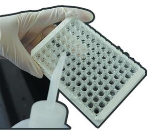 食品檢測(cè)過程揭秘:豬肉粉身碎骨驗(yàn)明正身